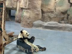 -无锡动物园·太湖欢乐园