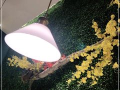 -茉莉餐厅(亳州高新万达广场希夷大道店)