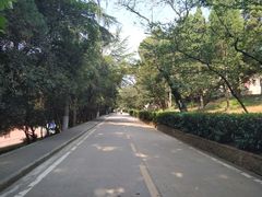 -武汉大学-樱园