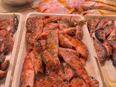 -花园菜市场