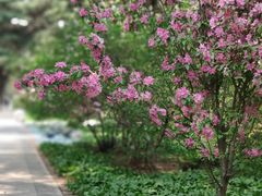-东北大学(南湖校区)
