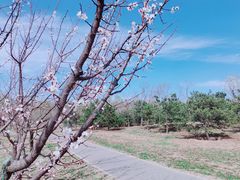 -东郊湿地公园