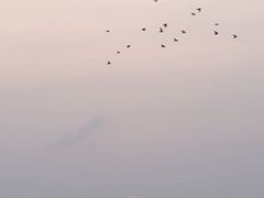 -日照海滨国家森林公园