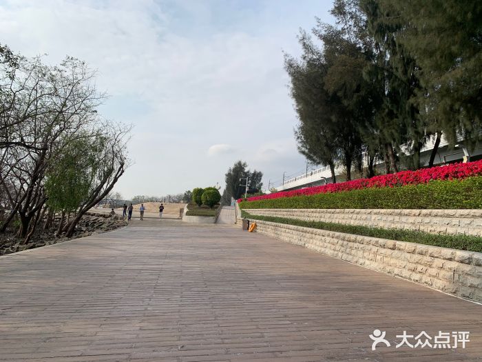 宝安西湾红树林湿地公园图片