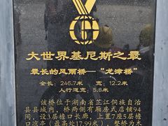 -龙津风雨桥