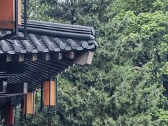 -香积寺