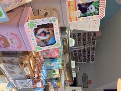 -猫的天空之城概念书店(丽江古城饮玉巷店)