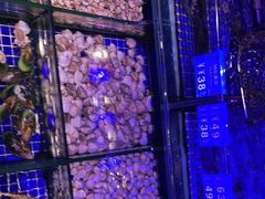 -青蓬蒸汽海鲜·深圳老字号·团建聚会(壹方城店)