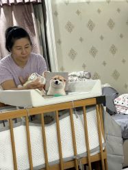-贝爱时刻月子中心(宝安妇幼店)