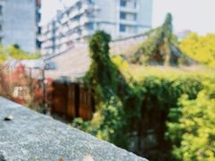 -乌山风景区