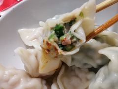 韭菜鲜肉饺-袁记云饺(邯郸路店)