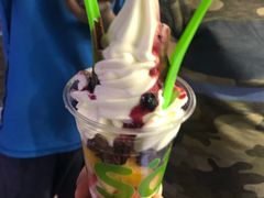 -Salud撒露欧洲冻酸奶(蓝色港湾店)