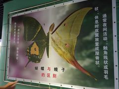 -上海昆虫博物馆