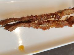 -邢氏老太太烤串(北兴街店)