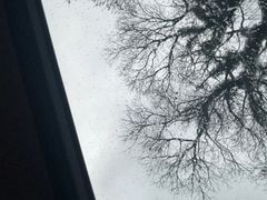 -福道