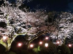 -名古屋城