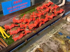 -辉记炭烧海鲜大排档·老字号(福田店)
