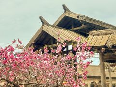 -清风小镇闯关东影视基地