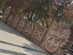 -木塔寺遗址生态公园