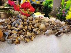 -嘉兴华美达酒店(秦逸路店)