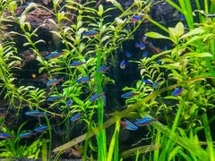 -上海海洋水族馆