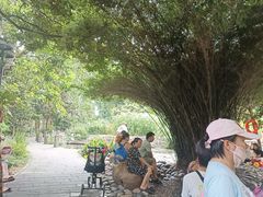 -成都市活水公园