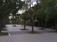 -新江湾城公园