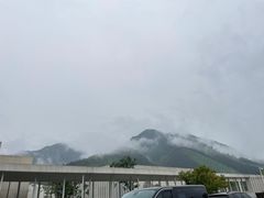 -中国宣纸文化园