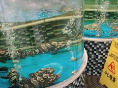 -蓬川食府(金海道店)