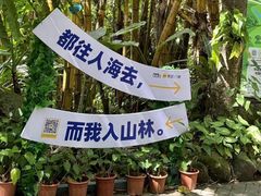 -呀诺达热带雨林