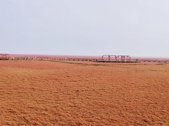 -红海滩国家风景廊道