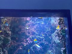 -海合安青岛极地海洋公园