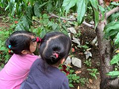 -碓臼峪自然风景区