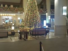 -亚龙湾喜来登·美景台大堂吧