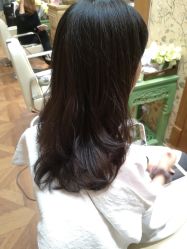 -Every Day Hair Studio