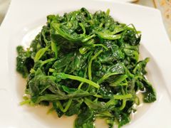 清炒豌豆苗-新聚丰菜馆(太监弄店)