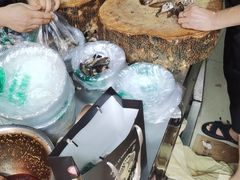 -老字号周记古蔺麻辣鸡·非物质文化遗产传承店