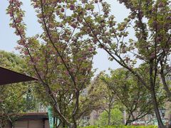 -荷风细雨·中国茶宴(碧云店)