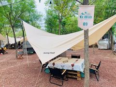 -天津东丽湖风景区