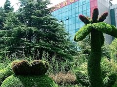 -双季花艺园艺市场(浦东店)