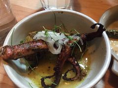 -State Bird Provisions