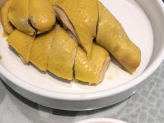 -熠盛粤味·顺德桑拿鸡(永康路店)