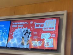 -帕帕拉兹宠物(亚洲旗舰店)