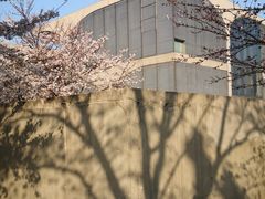 -龙美术馆(西岸馆)