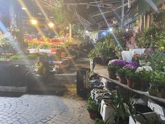 -曲阳花鸟市场(曲阳路店)