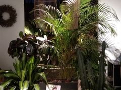 -云里小坐·小院里·团建·宴请·下午茶(三圣乡店)