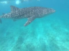 -中央格兰德岛温泉度假酒店 - 全包