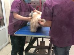 -瑞派天宁宠物医院·猫科·异宠中心