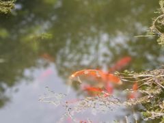 -中山公园