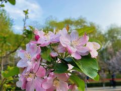 -元大都城垣遗址公园